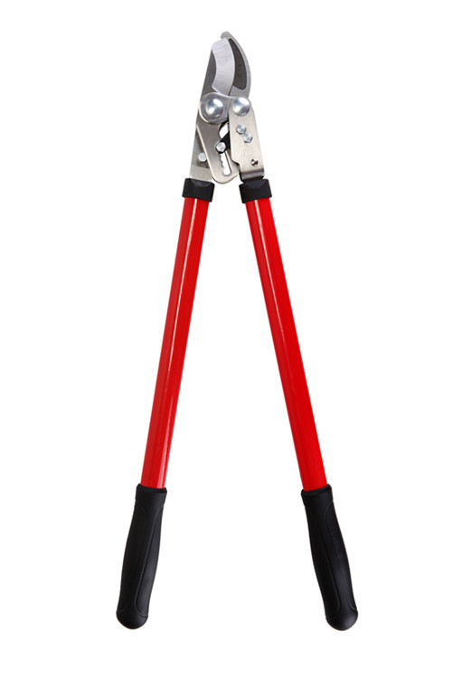CL203