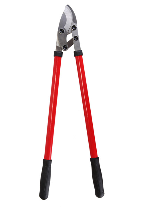 CL205