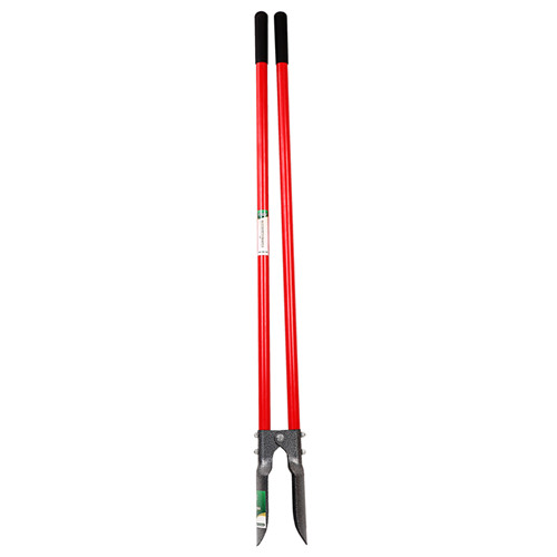 DP803