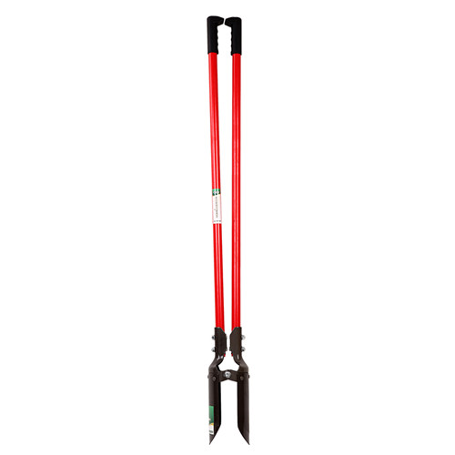 DP804
