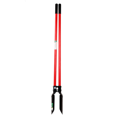 DP806