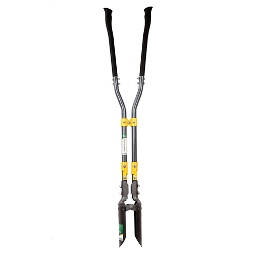 DP810
